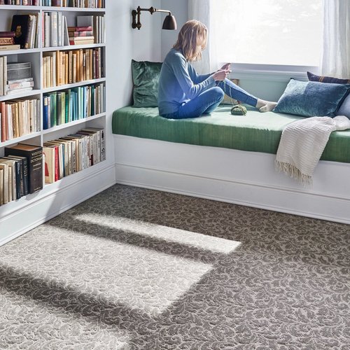 Sunny living room with bookshelves